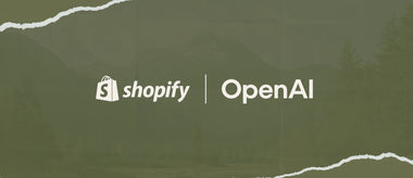 הכירו את Rollout: כלי הבדיקות ההשוואתיות המובנה של שופיפיי