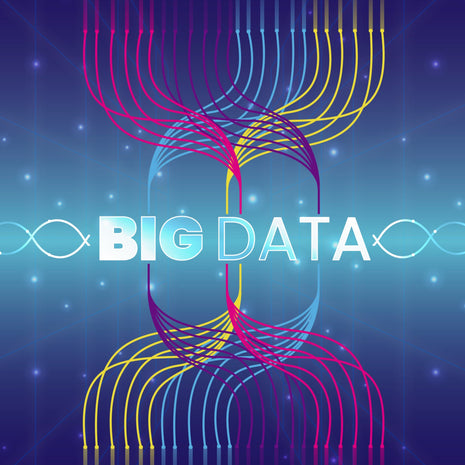 טיוב דאטה לחנויות Shopify