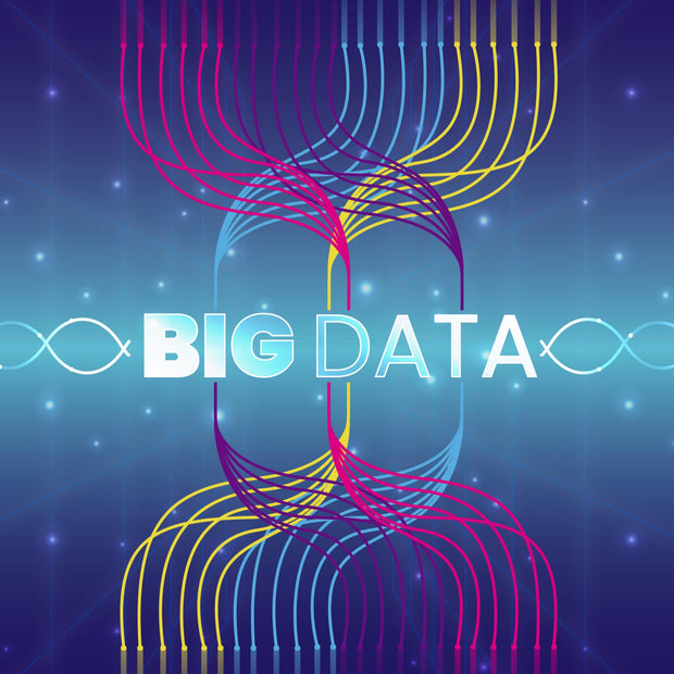 Data Recovery for Shopify Stores