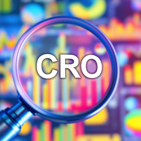 דוח ניתוח ביצועים- CRO